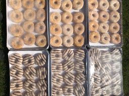 Heidekamppark 2021 PizzadonutRun